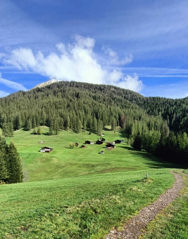 Il valore aggiunto del Caseificio: le nostre aziende agricole